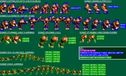 Dkc unused donkey