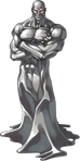 Neogeegus2