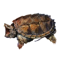 Huge item snappingturtle 01.png