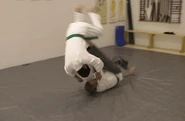 atemi ryu jujitsu in dallas tx