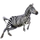 Item plainszebra 01