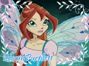 BloomP11-BloomDetermined