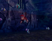 DiddySwim64