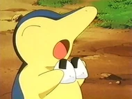 EP251 Cyndaquil
