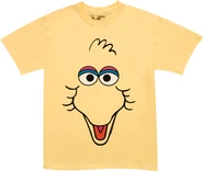 Ssshirt-bigbirdface