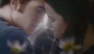 Edward and Bella Eclipse Meadow