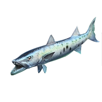 Huge item barracuda 01.png