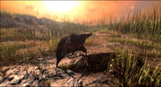 World of Warcraft Thrall's Vision.mp4 000041708