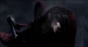 Thrall's Vision The Prophet