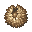 Chestnut