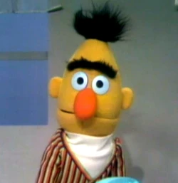 Bert1971-1976version