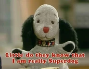 Superdog2