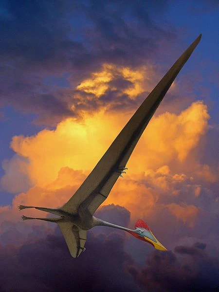quetzalcoatlus northropi