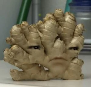 Ginger
