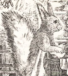 Treerose.jpg