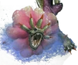 Kludrothsub