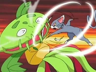 EP481 Ronda final