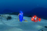 Findingnemo0212