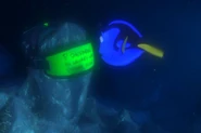 Findingnemo0433
