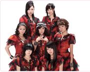 Berryzfankora