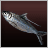 Herring