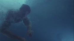 5x15-Aqueous Jackface.jpg