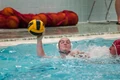 Blackman 20100828 4717.jpg