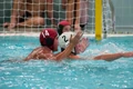 Blackman 20100828 4693.jpg