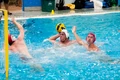 Blackman 20100828 4675.jpg