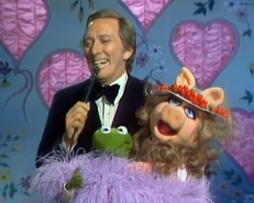 Andywilliams-lovestory