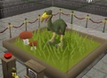 Terrorbird display.png
