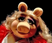 Newpiggy