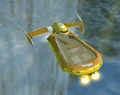 SWS RescueBoat01.jpg