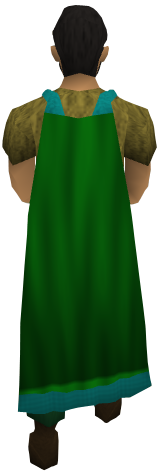 File:Guthix cape equipped.png