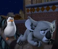 Koala-Habitat-001.jpg
