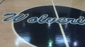 Wolverines-hoop-floor.jpg