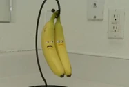 Bananas (Season 2)