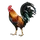 Item gallo 01