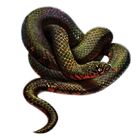 Huge item mudsnake 01.png