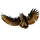 Item eagleowl 01