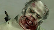 Rdr bruiser04