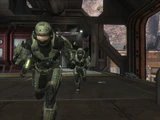 Reach 1411544 Medium