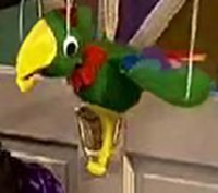 Potty the Parrot