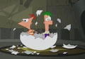 Hatching From Egg