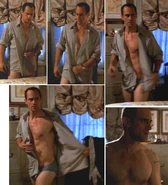 Svu bluebriefs3