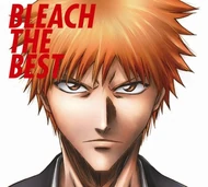 Bleach the Best