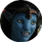 Navilogo.png