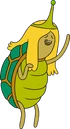 Turtle princess