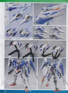 HG 0 Raiser2