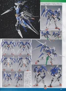 HG 0 Raiser3